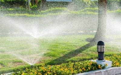 Arrosage automatique jardin hiver : passez le système en mode hivernage