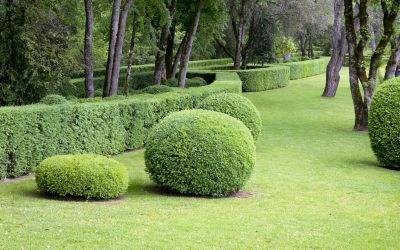 Jardin printemps : comment bien le préparer ?