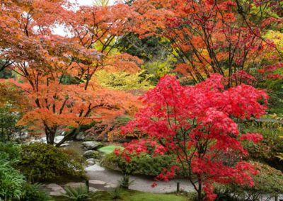 Jardin japonisant