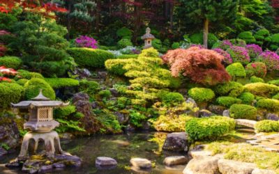 Jardin japonais, quels sont les éléments qui les constituent ?