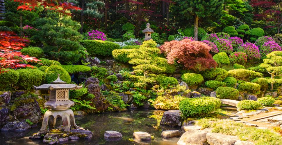 Jardin Japonais typique