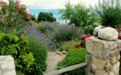 Jardin méditerranéen : comment bien créer votre espace ?