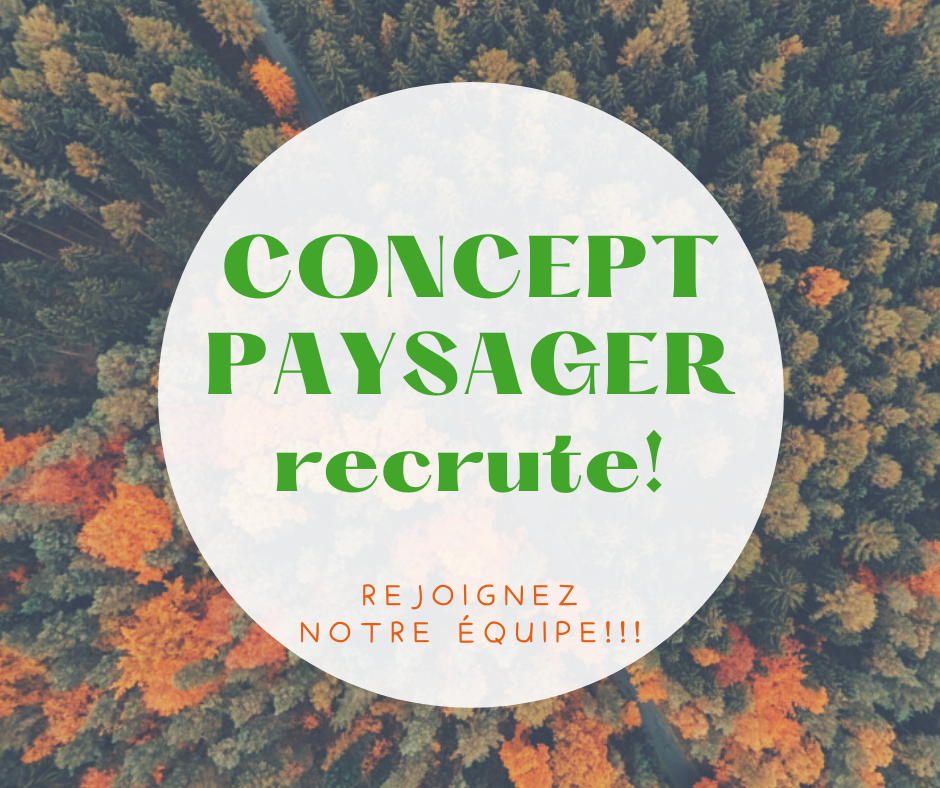 Concept Paysager recrute