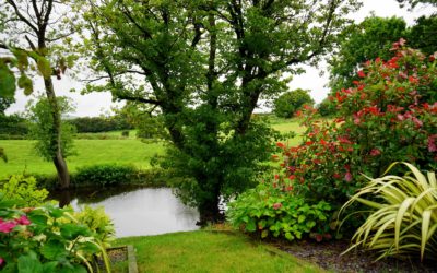 Jardin écologique : nos solutions pour un extérieur responsable