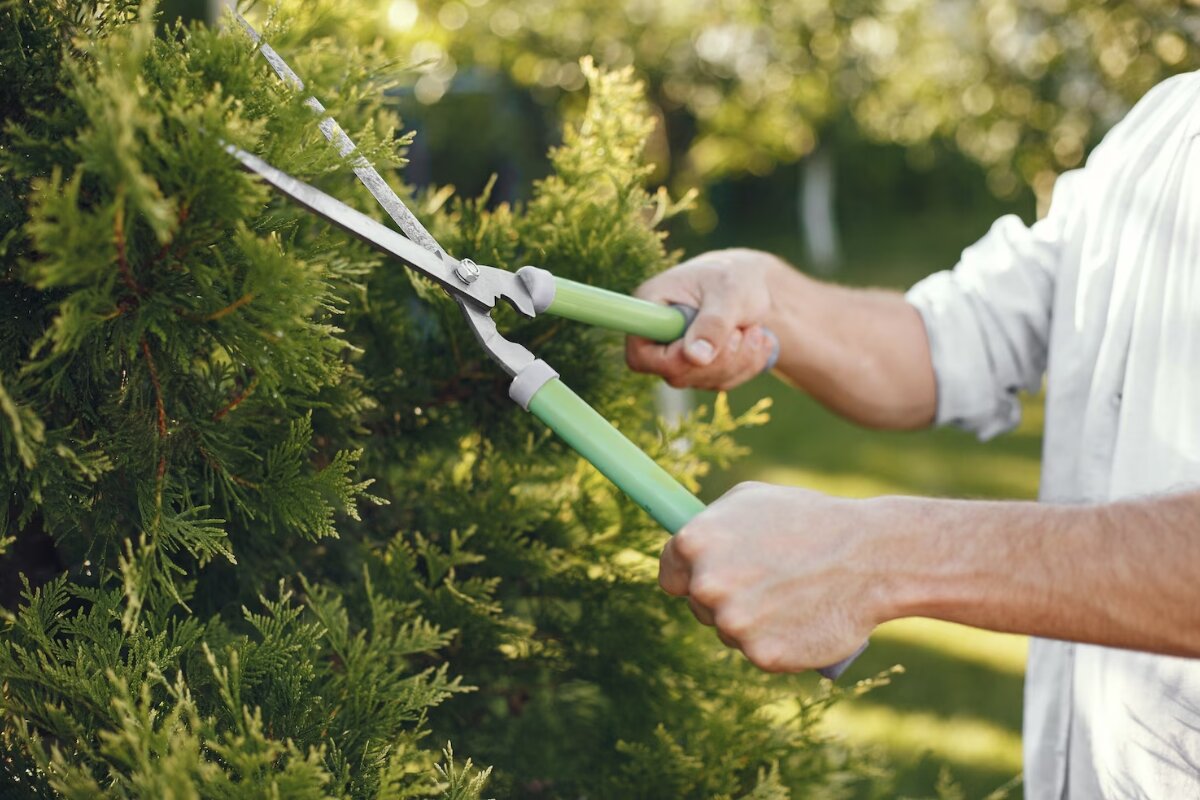 Aides financières pour l’entretien courant de votre jardin