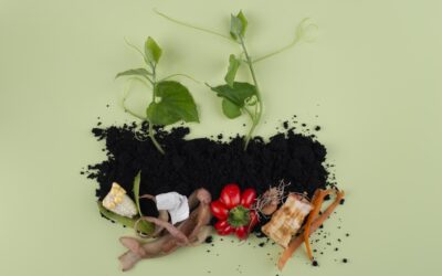 Compost : bientôt obligatoire, tout savoir et comment faire