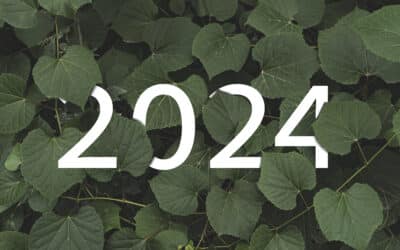 Propriétaire de jardin : ce qui change pour vous en 2024