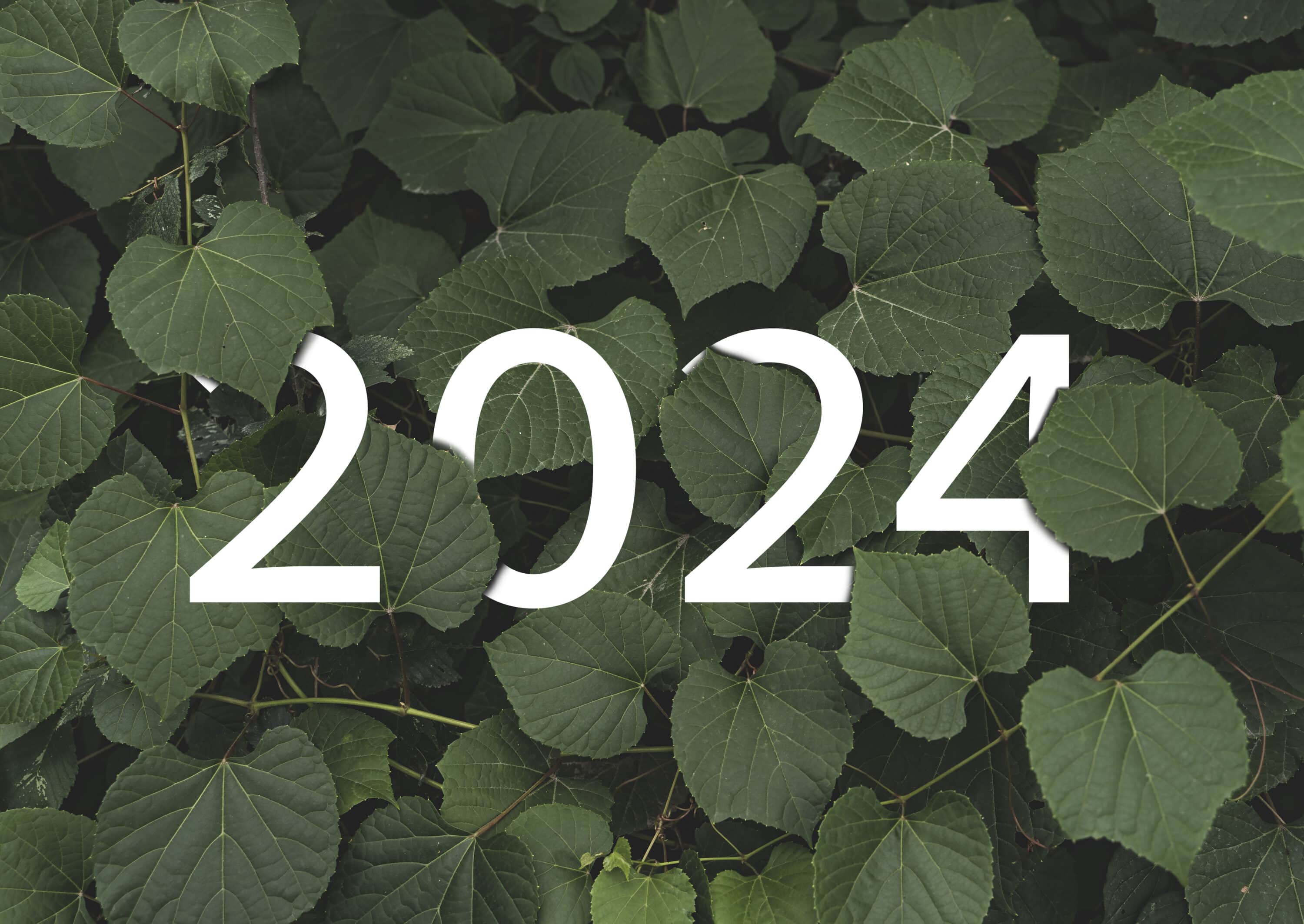 2024 jardin