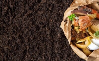 5 conseils pour que votre compost fonctionne