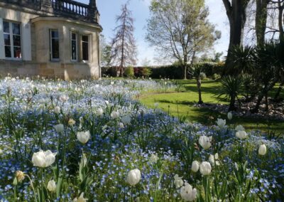 Entretien et rénovation au jardin du château Mazeyres à Libourne