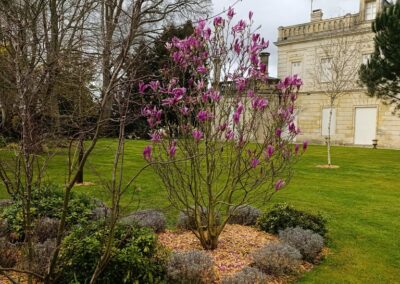 C'est le printemps au château!