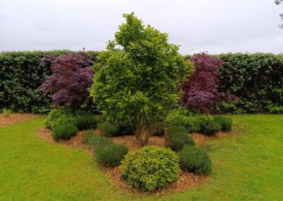 Massif arboré.