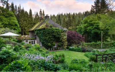 Comment concevoir un jardin à l’anglaise ?