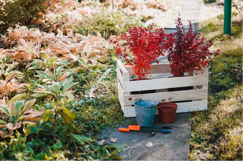 jardin sans déchets