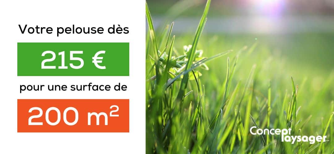 2 creation de jardin bordeaux