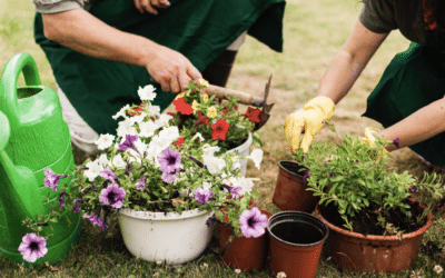 5 erreurs courantes en jardinage et nos conseils pour les éviter