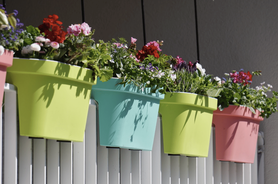 plantes balcon ville plantes balcon ville