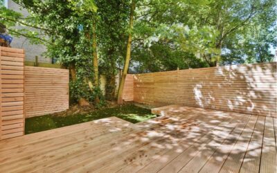 Quel bois choisir pour sa terrasse ? Nos conseils pour un choix durable et esthétique