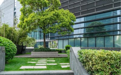 5 raisons d’aménager vos extérieurs en entreprise avec concept paysager