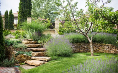 Jardiner sans effort : concevoir un espace de bien-être facile à vivre et à entretenir