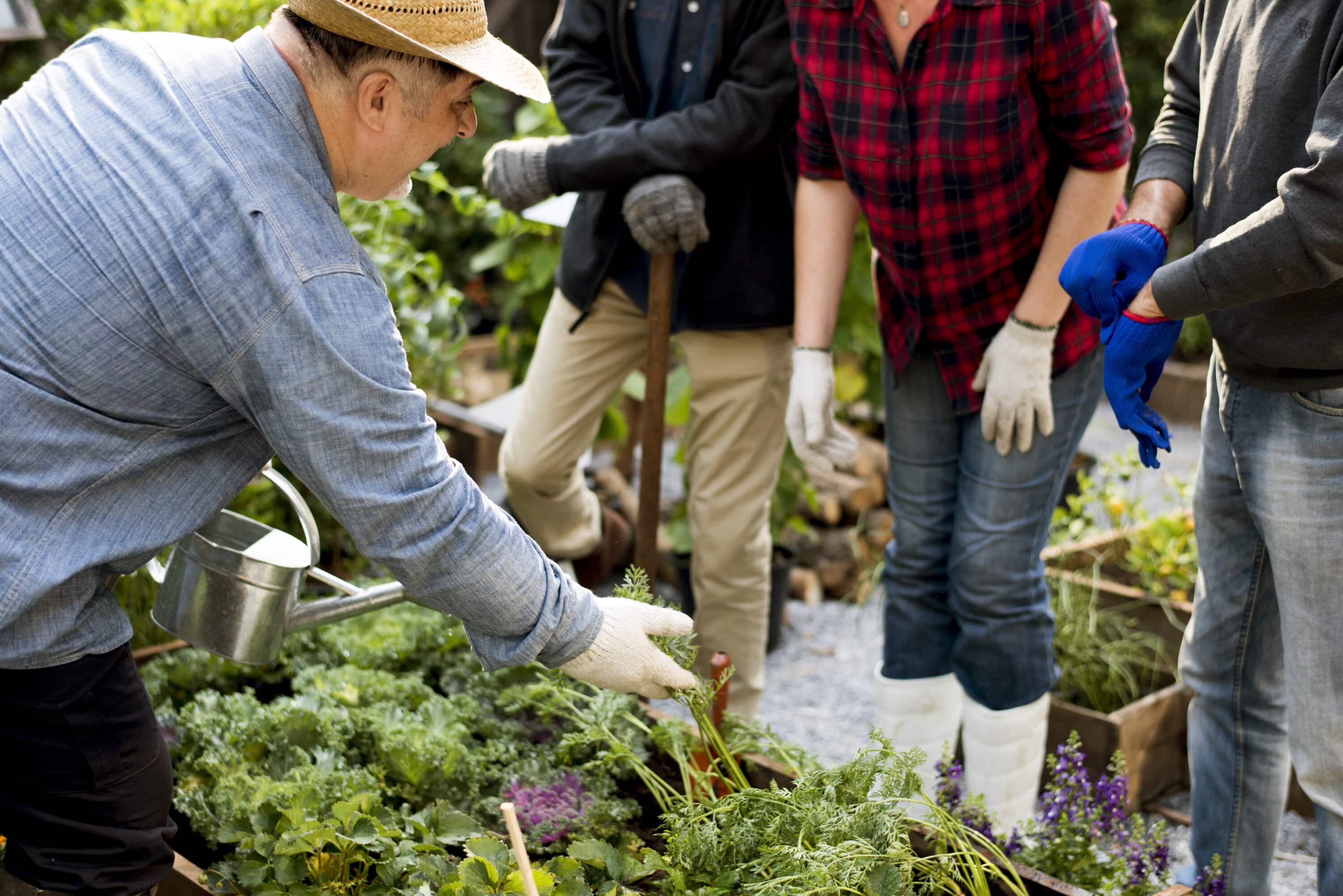 groupe-de-personnes-plantant-des-legumes-en-serre-2 Groupe de personnes jardinant ensemble, bienfaits du jardinage