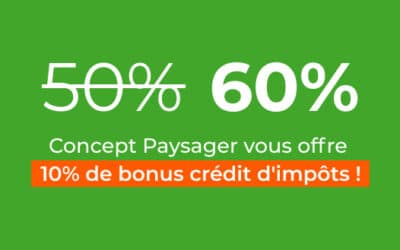 Entretien de jardin : coup de pouce offert par Concept Paysager — novembre et décembre 2025