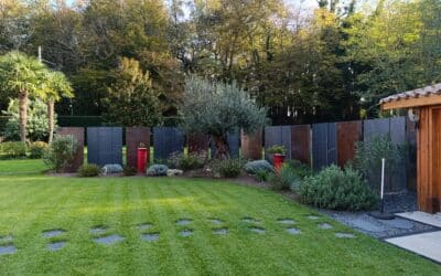 Qu’est-ce qui va changer en 2026 pour votre jardin ou vos extérieurs ?