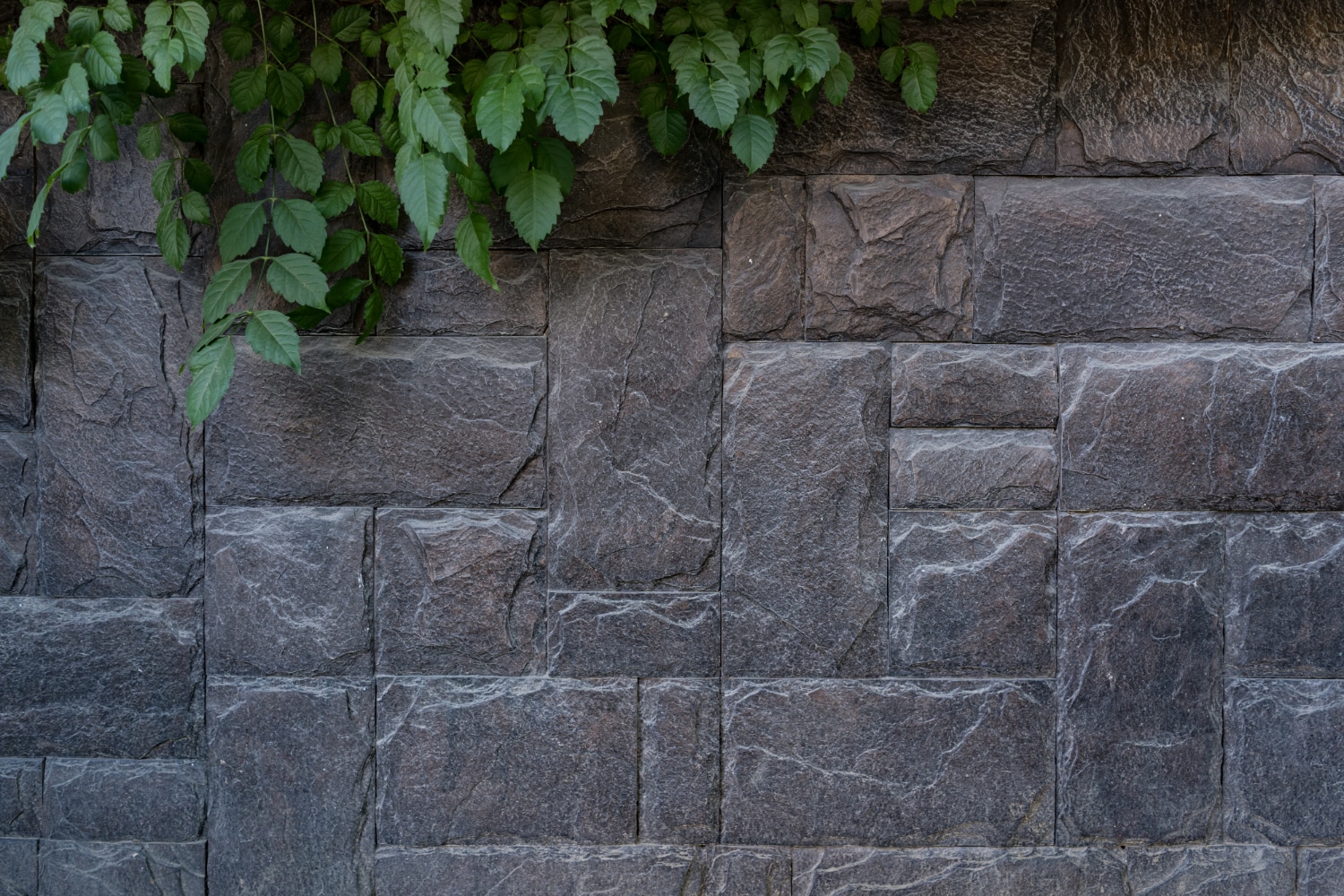 Mur ardoise jardin