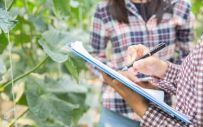 Préparer son jardin pour l&rsquo;été à Bordeaux : la checklist du paysagiste
