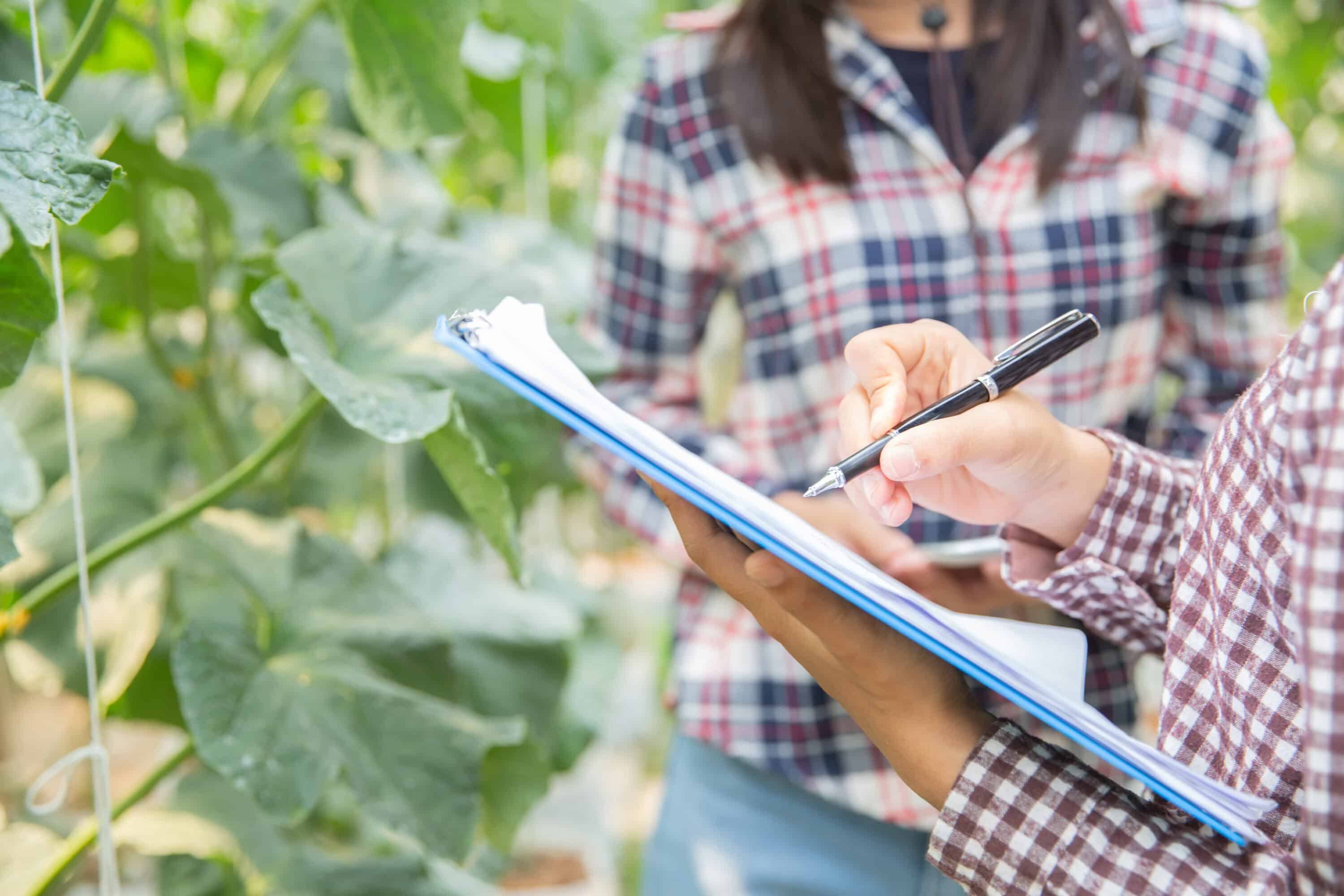 Inspection des végétaux et diagnostic de jardin avant l'été par un paysagiste