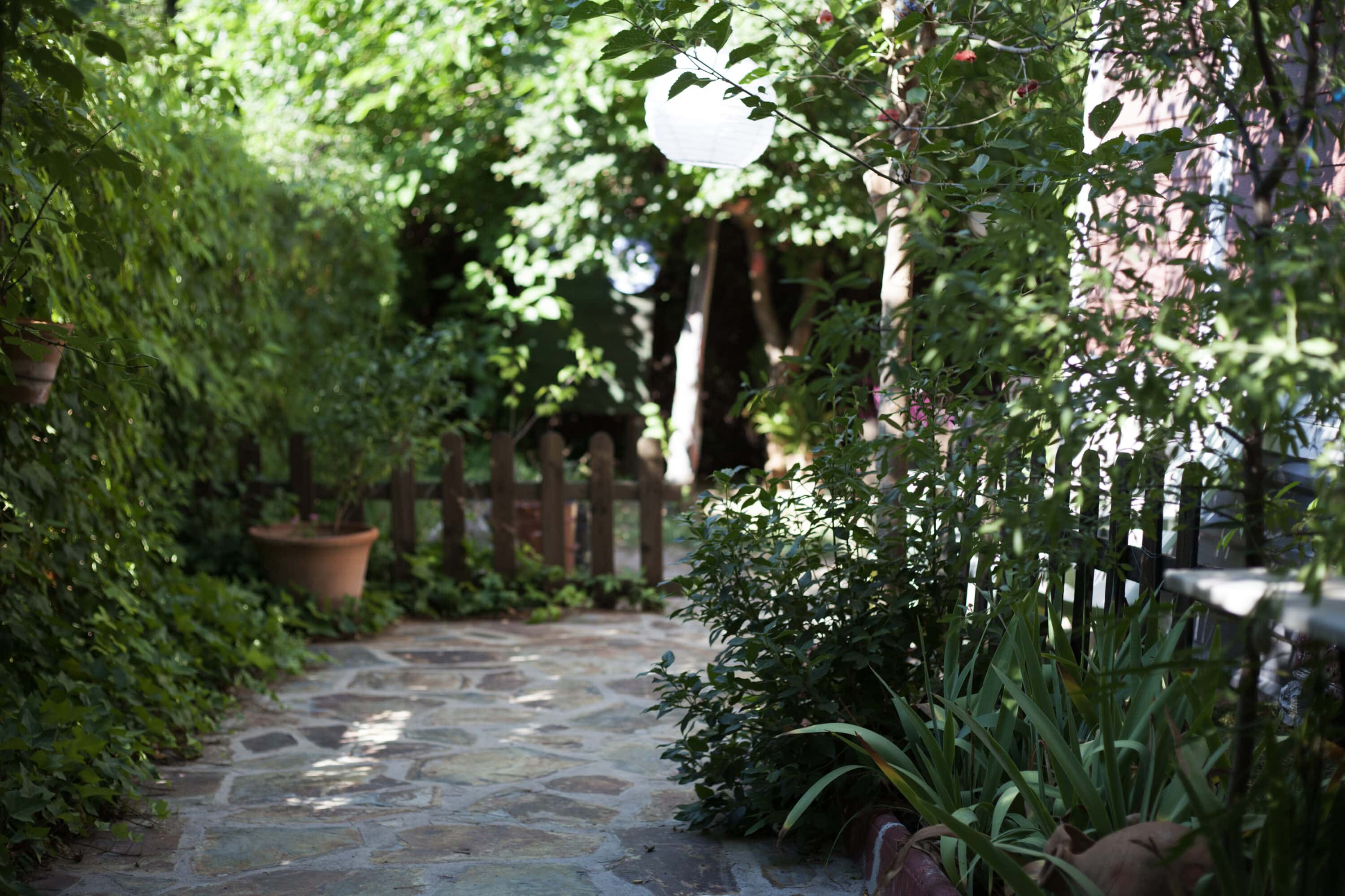 jardin ombragé